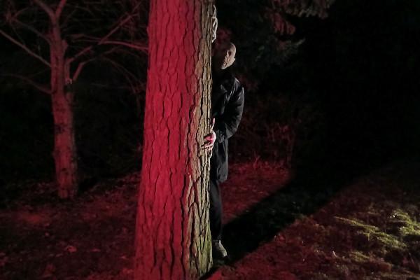 Nosferatu mit Grallenhänden lugt hinter Baum hervor