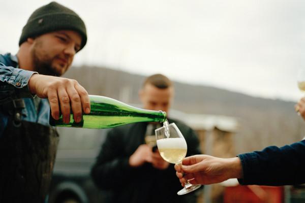 Geführte Bio-Weinprobe und Kellertour