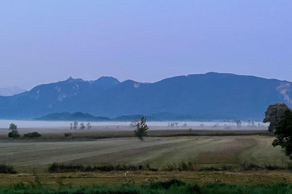 Morgennebel über dem Murnauer Moos