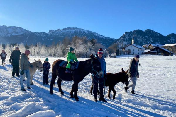 Eselwanderung im Pfrontener Moor