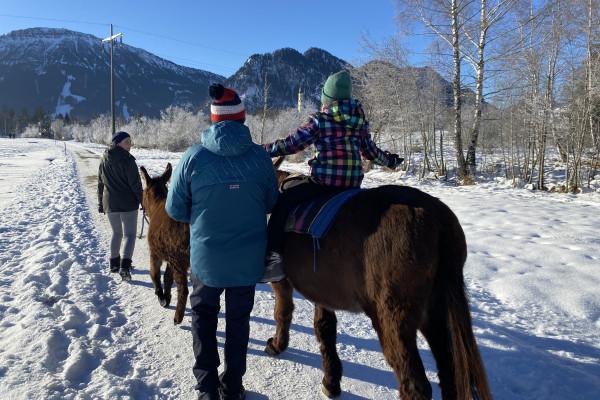Eselwanderung im Pfrontener Moor