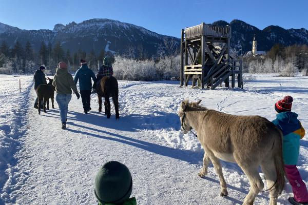 Eselwanderung im Pfrontener Moor