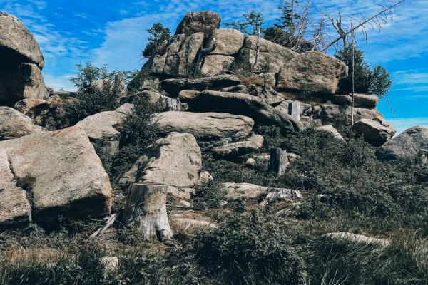 Wanderung: Auf felsigen Wegen - Schierke