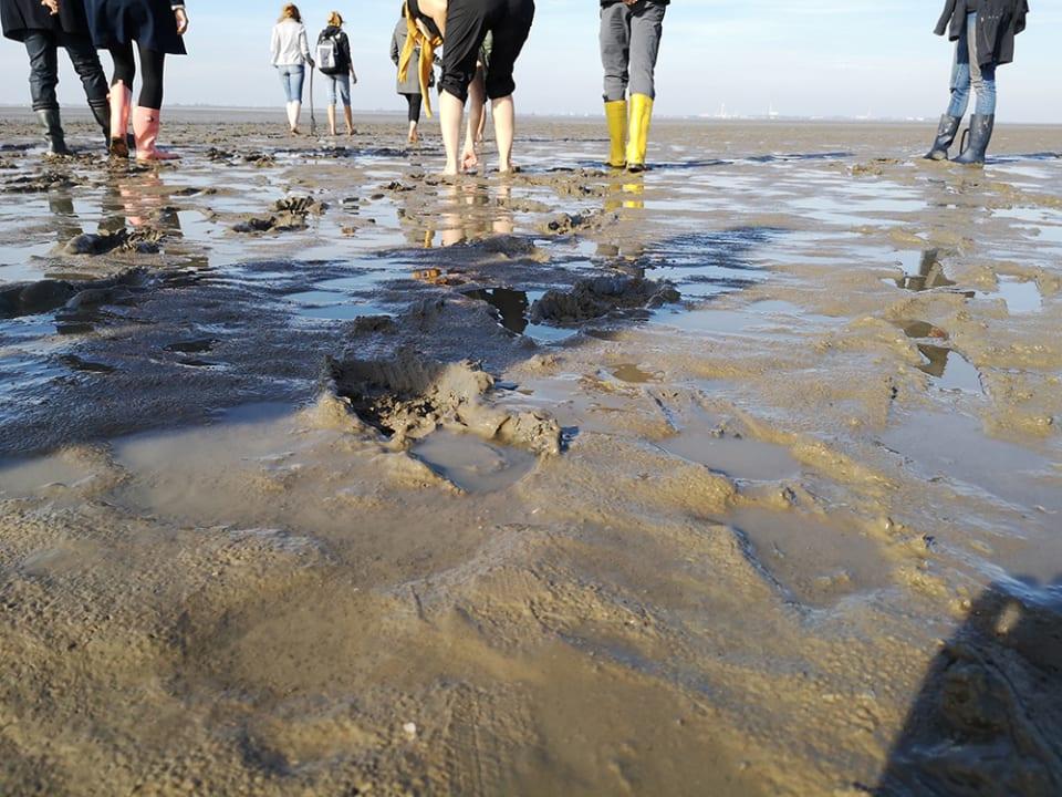 Strand 1 (Hundestrand)