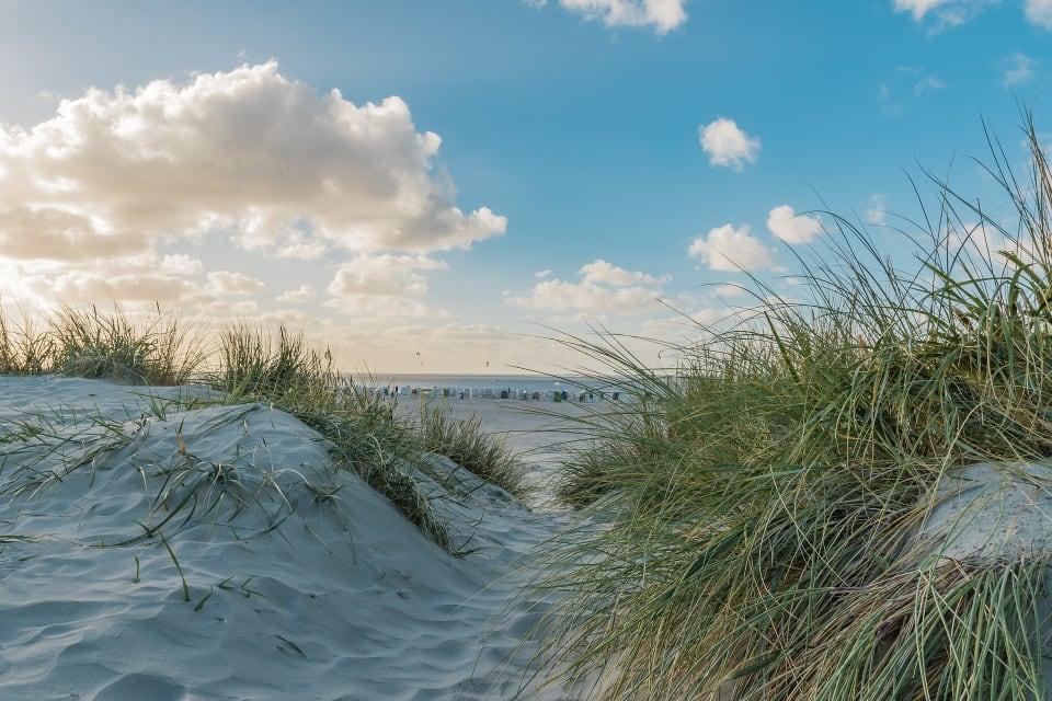 Hundestrand Hooksiel