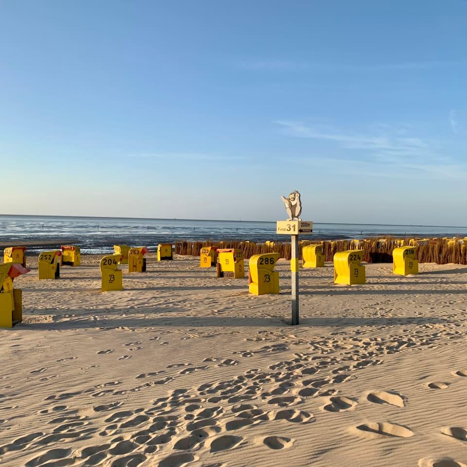 Feld 31 Beckmann