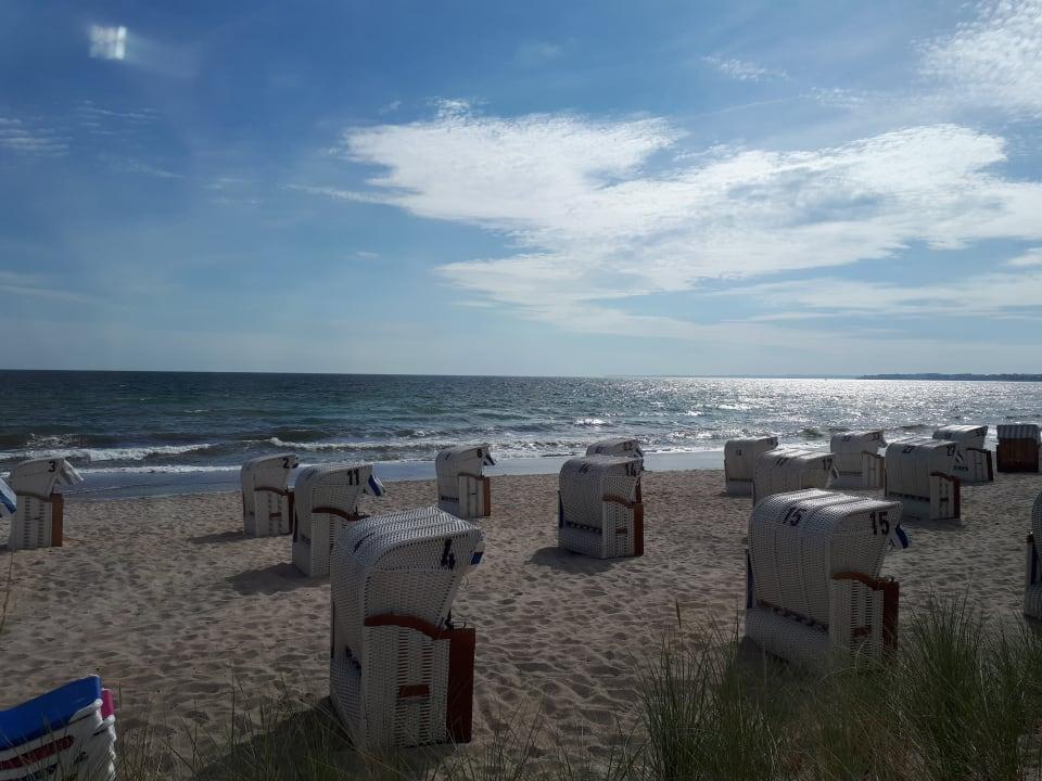 Voß 2