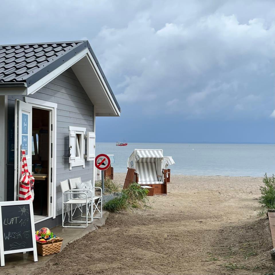 STRAND NO.36
