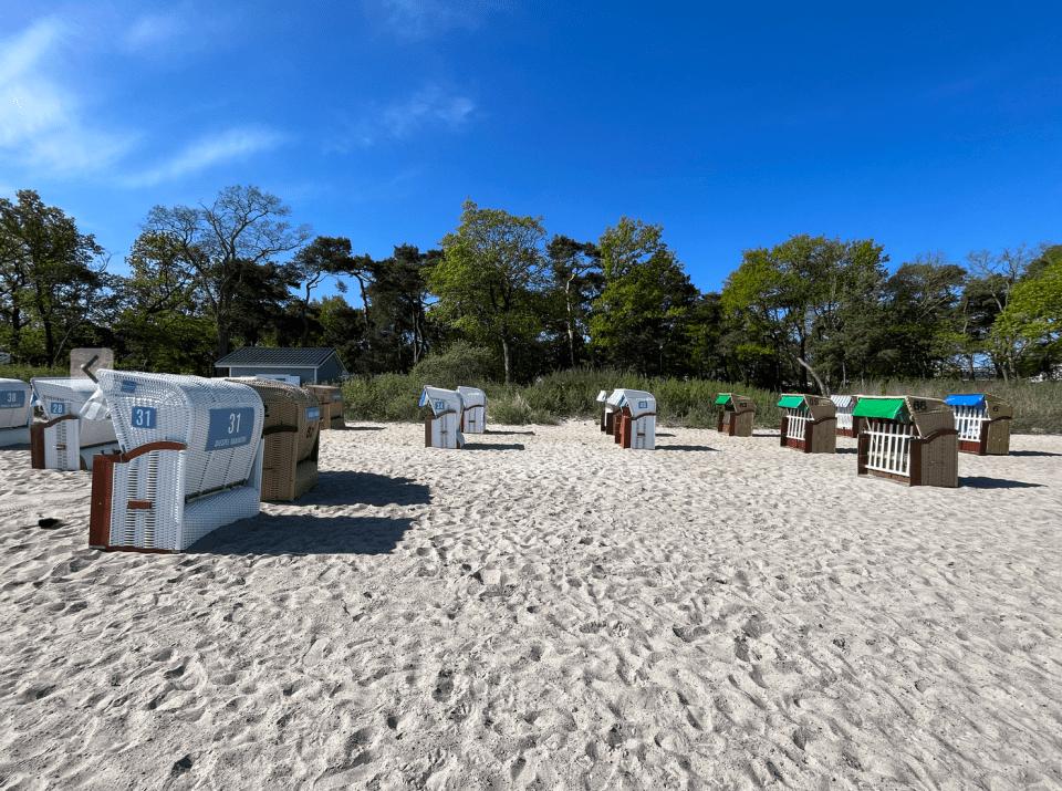 STRAND NO.36