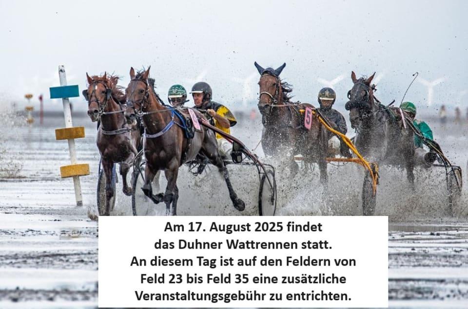 Feld 26 Beckmann