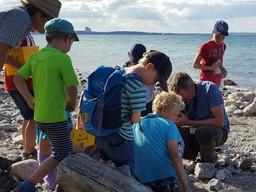 Eine Gruppe von Kindern beim Steinesammeln am Strand