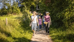 Eine Gruppe auf einem Feldweg bei einer Kräuterwanderung im Chiemgau