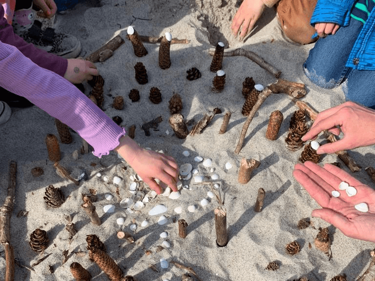Muscheln, Steine und Tannenzapfen im Sand an der Ostsee