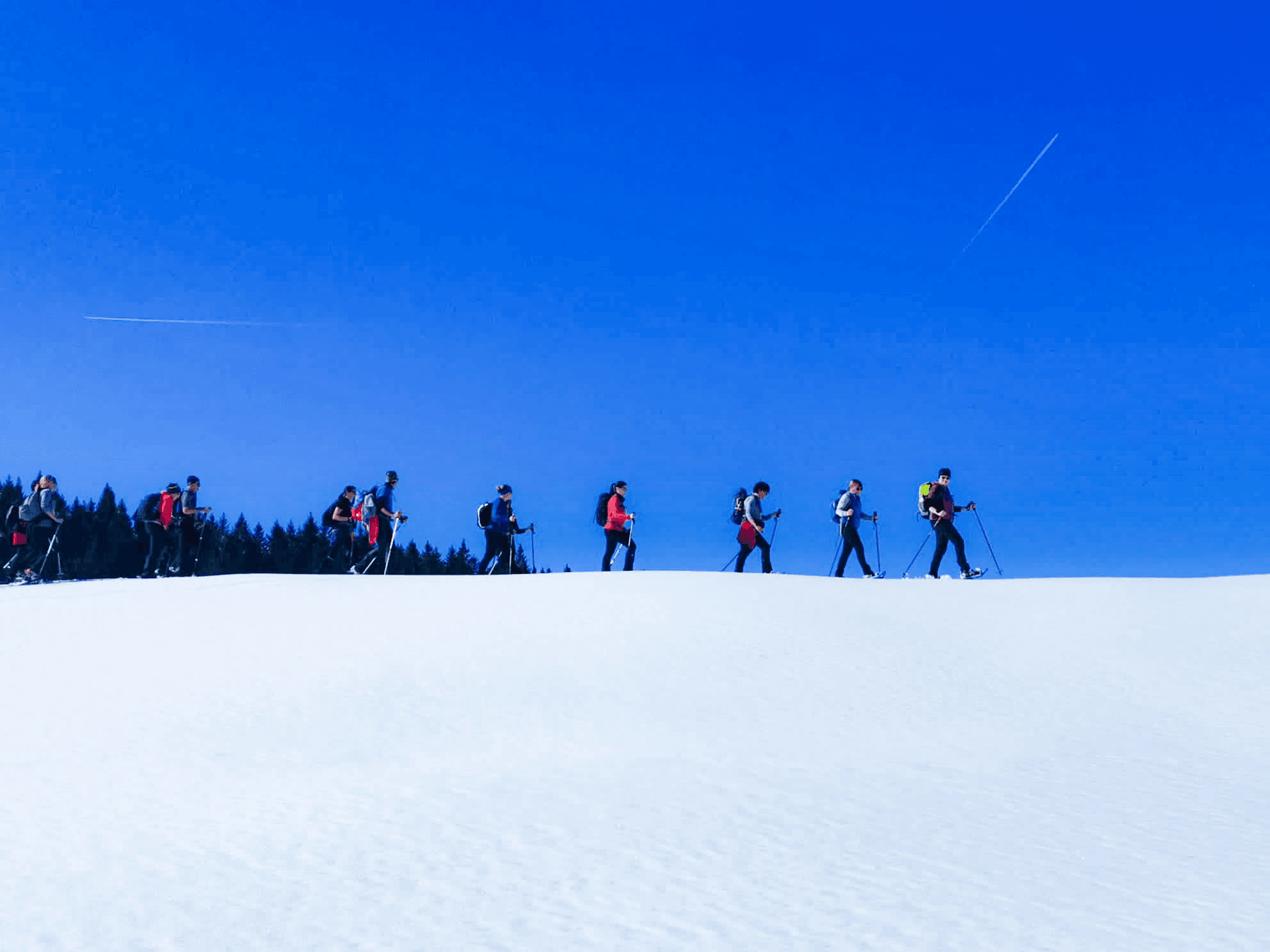 Eine Gruppe wandert mit Schneeschuhen durch Schnee vor blauem Himmel