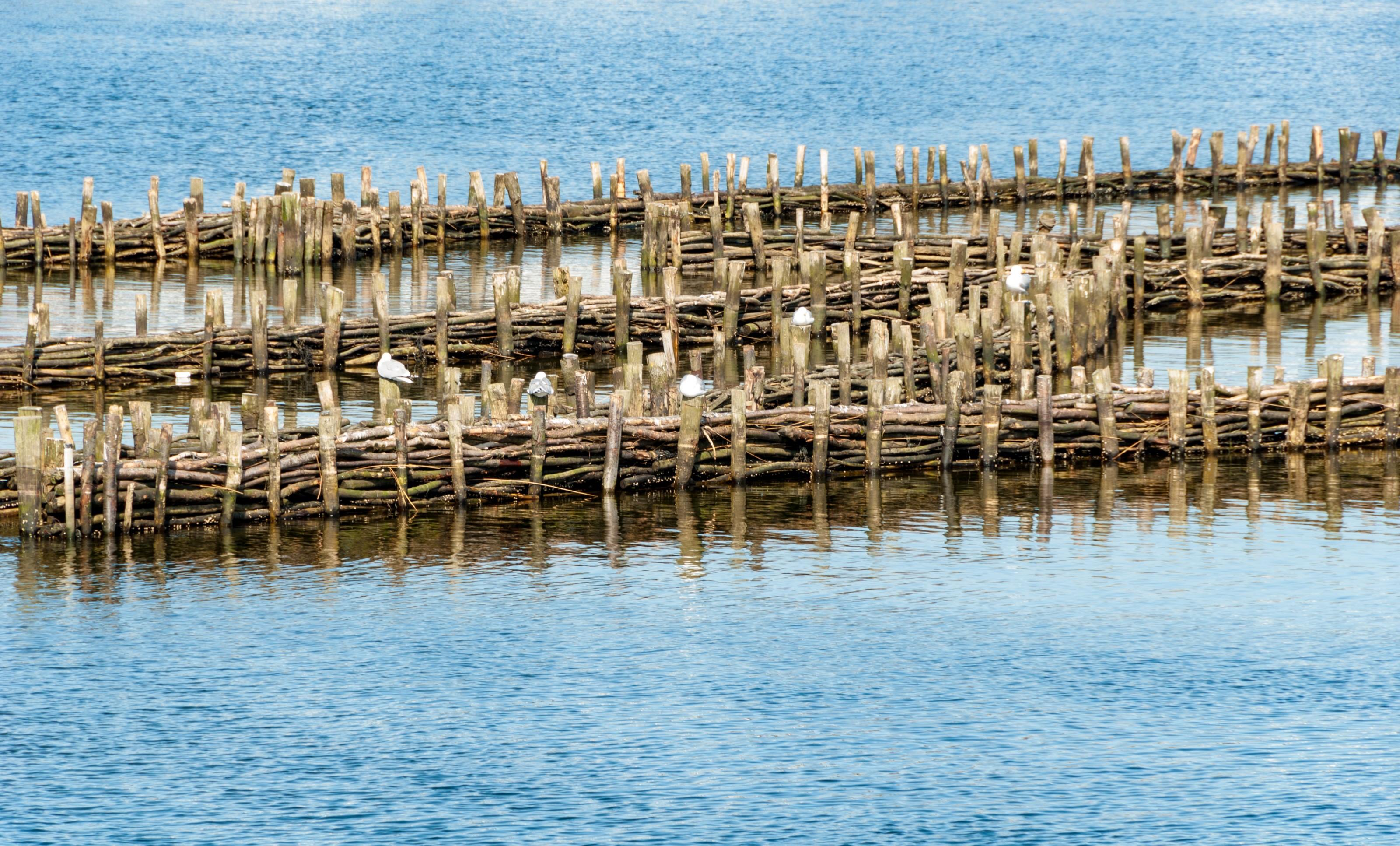 Der historische Heringzaun in Kappeln an der Schlei