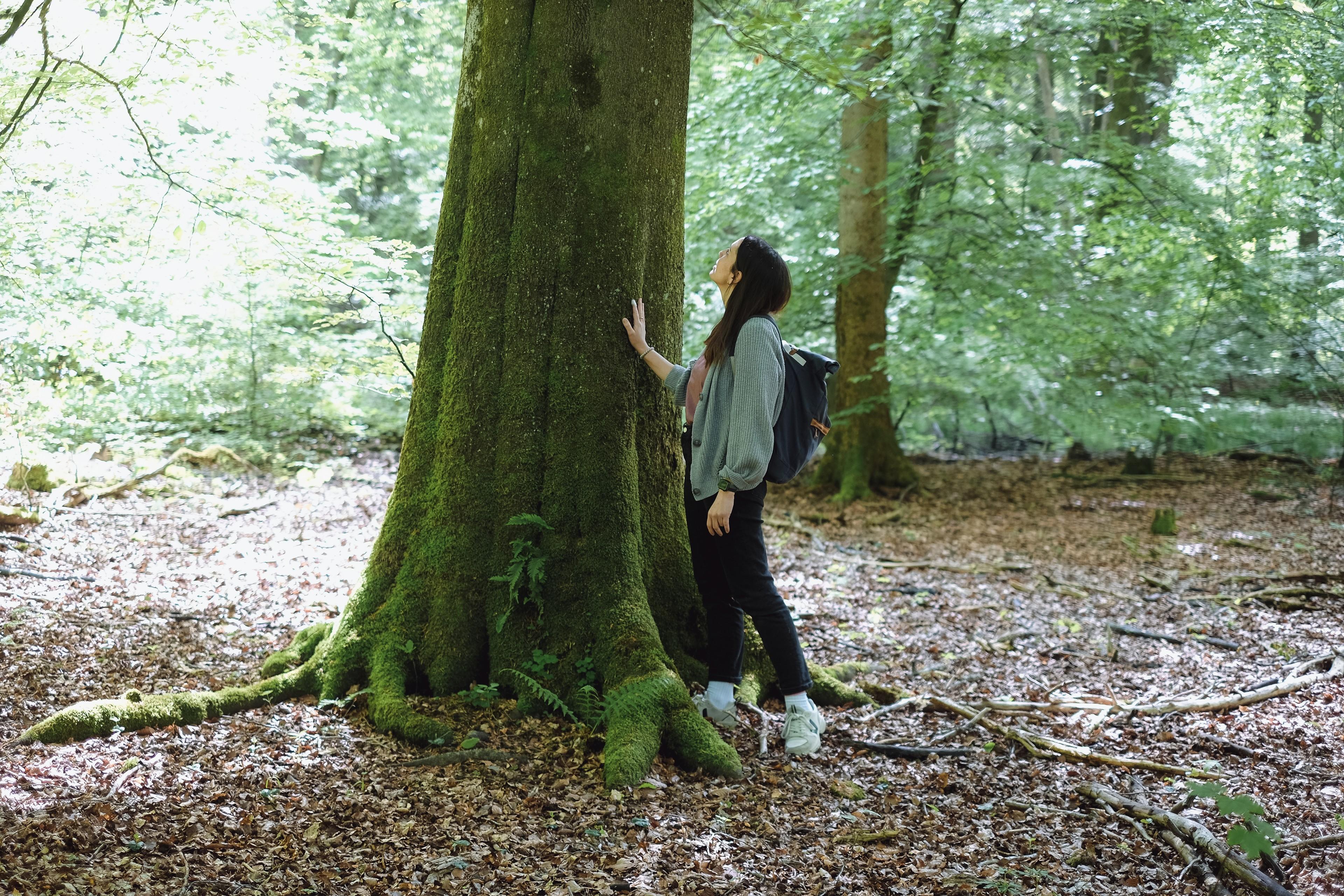 Eine Frau berührt legt beim Waldbaden die Hand an einen Baumstamm