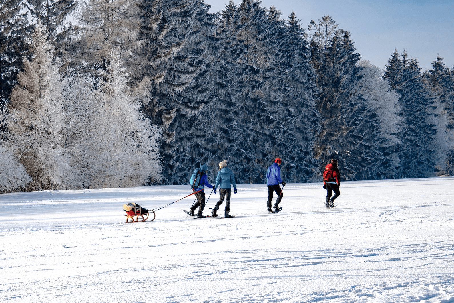 Eine Gruppe bei einer geführten Schneeschuh-Wanderung im Schnee
