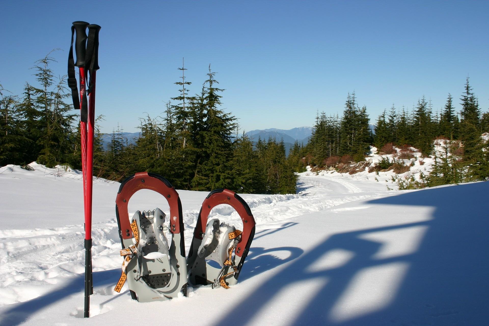 Schneeschuhe und Skistöcke in winterlicher Landschaft