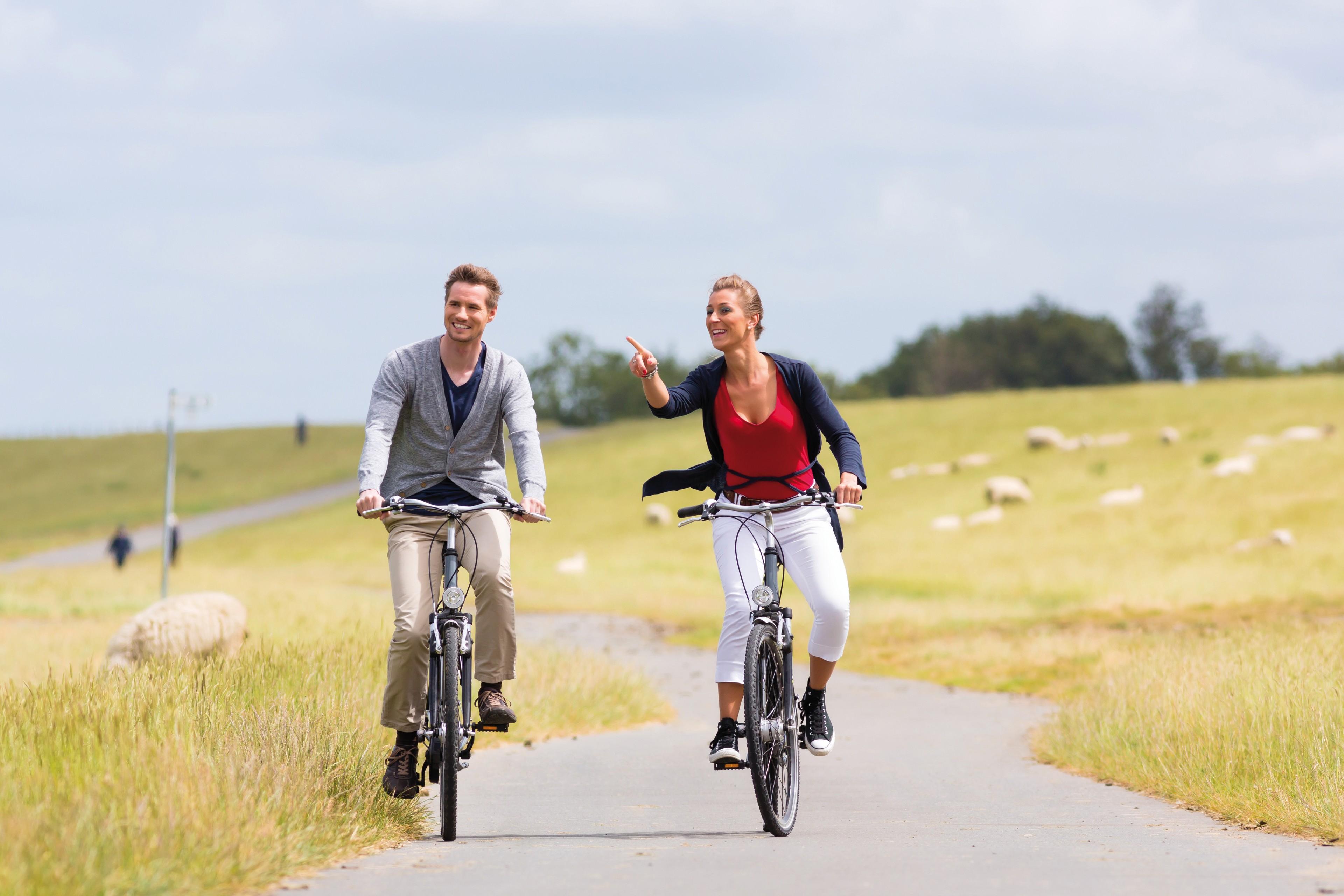 Ein Mann und eine Frau fahren auf Fahrrädern durch eine flache Landschaft mit Schafen
