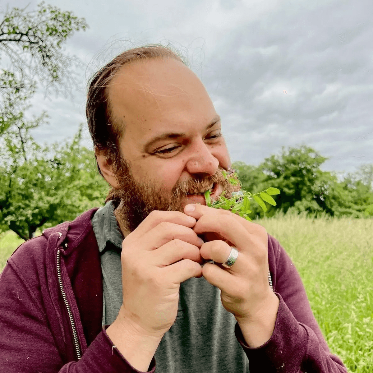 Ein Mann beißt bei einer Wildkräuterführung in eine essbare Wildpflanze