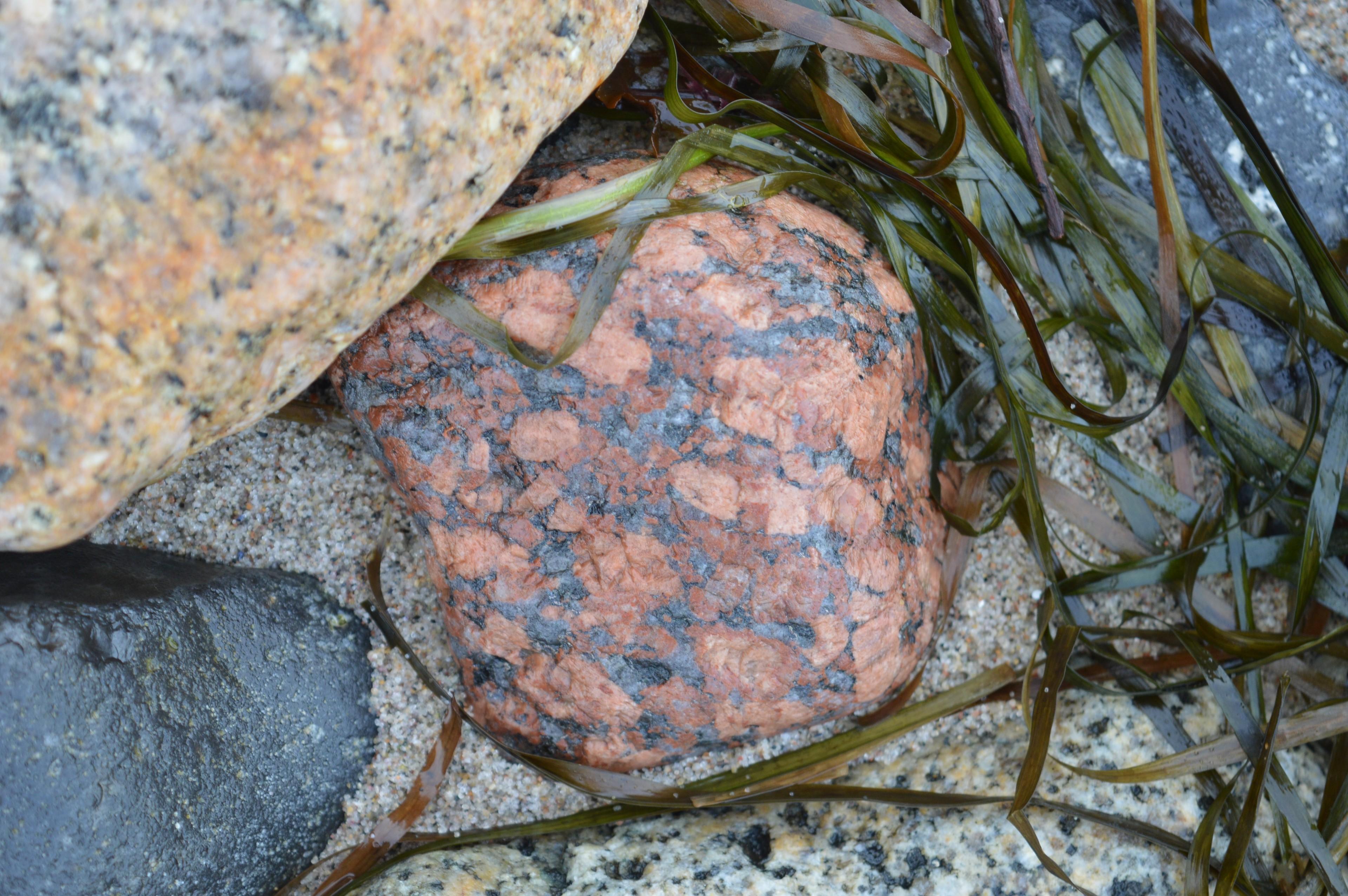 Ein rötlicher Stein am Ostseestrand