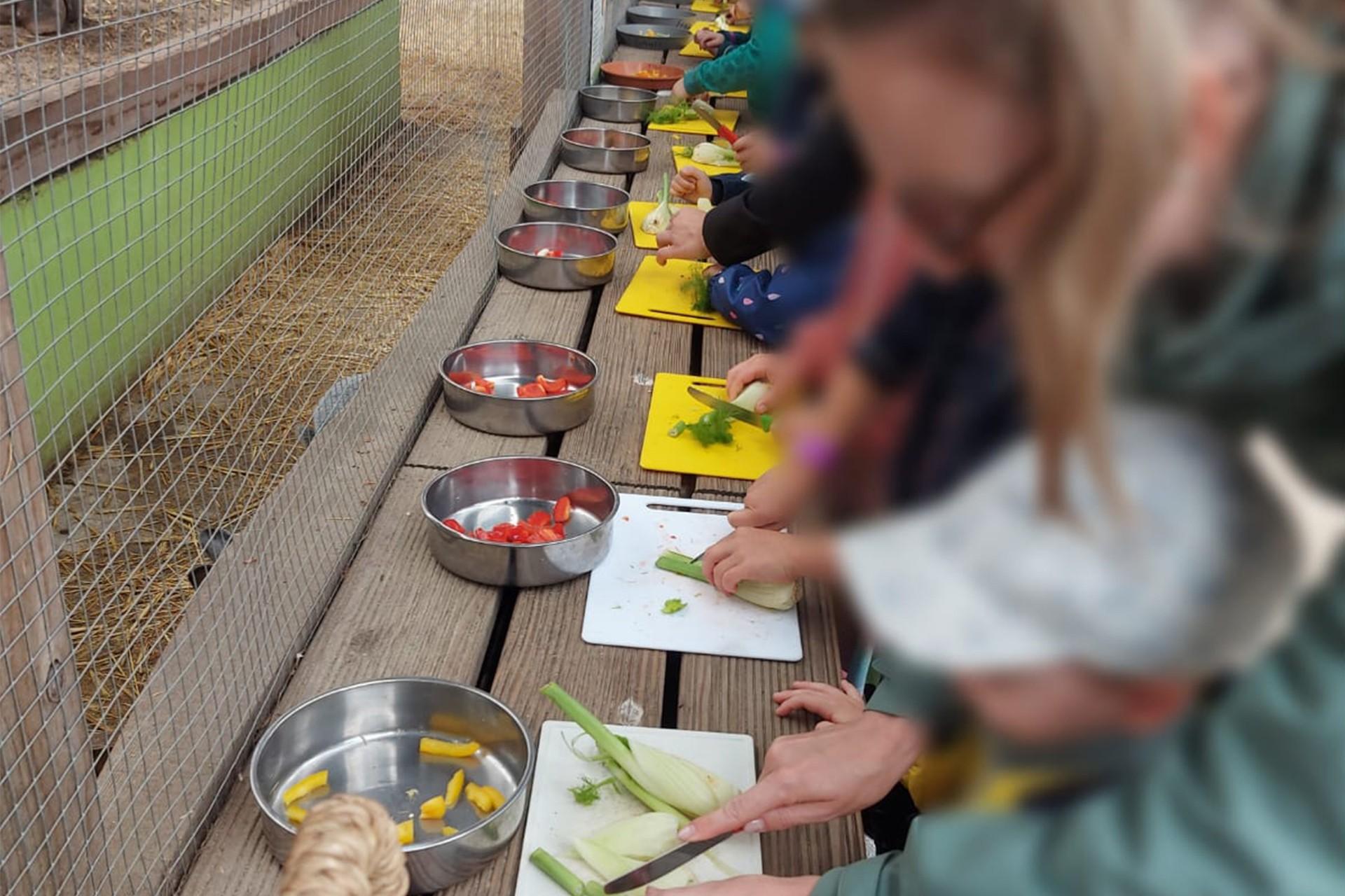 Kinder schneiden Gemüse für Tierfutter vor einem Gehege