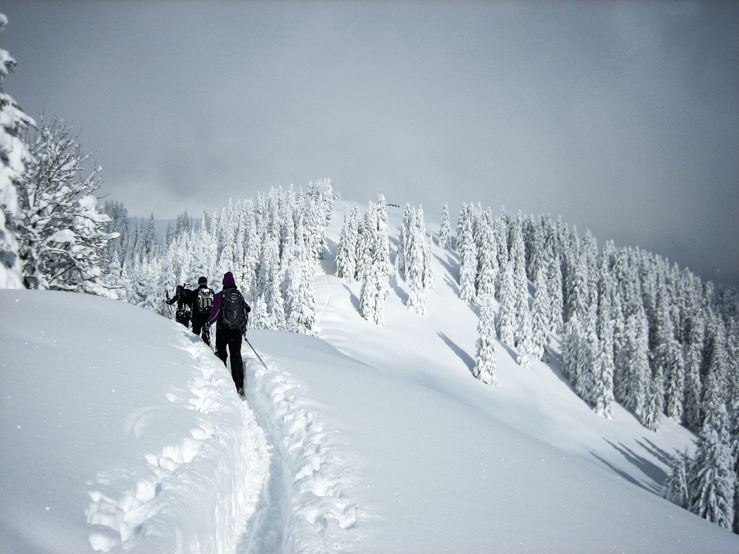 Eine Gruppe geht bei einem Skitouren-Kurs von Andreas Biberger im tiefen Schnee in den Alpen