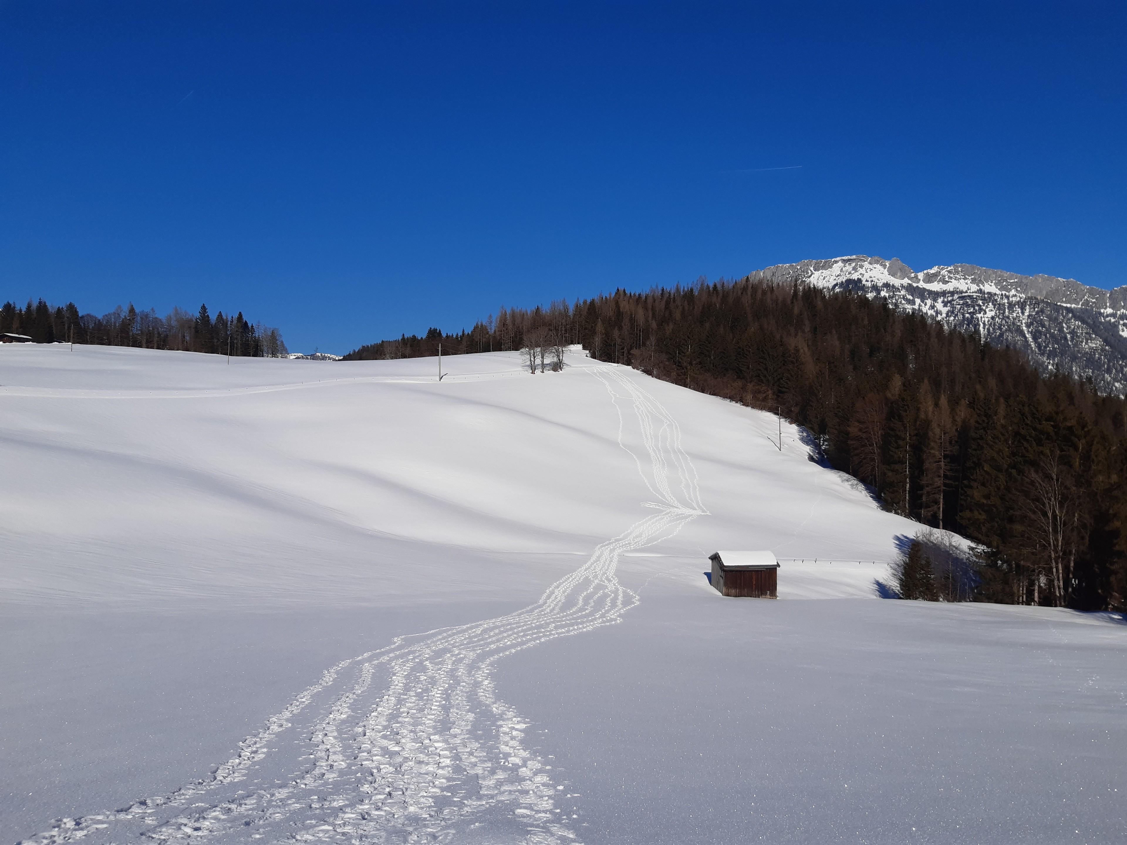 Schneehschuh-Spuren im Schnee in den Alpen