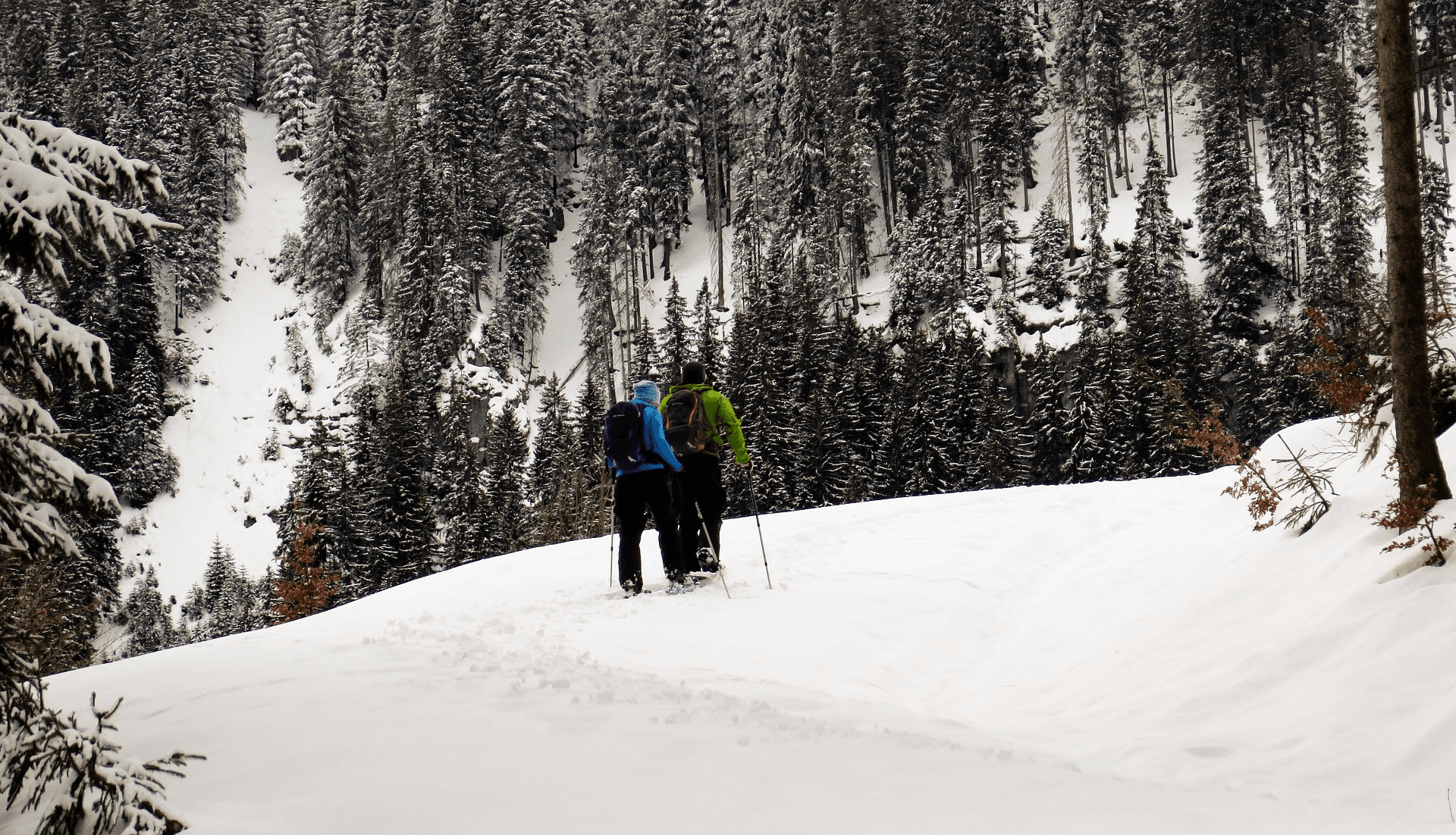 Zwei Personen gehen mit Schneeschuhen bei einer Tour im hohen Schnee