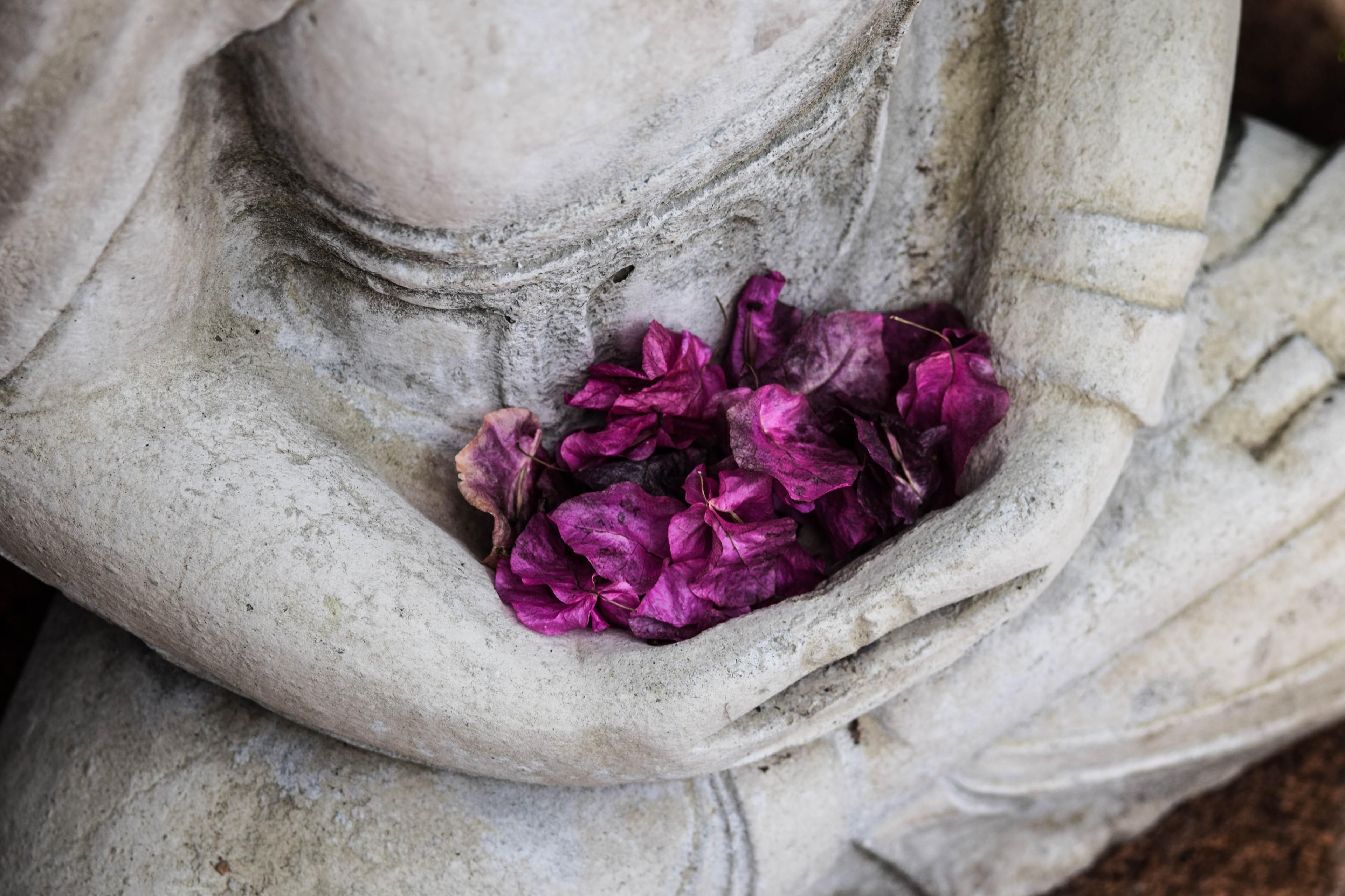 Ein steinerner Buddha hält lilafarbene Blüten in den Händen