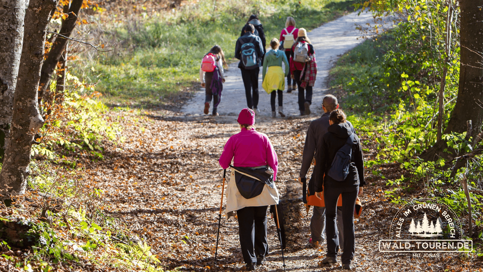 Teilnehmende einer Waldführung in der Haard in Haltern am See gehen durch den Wald