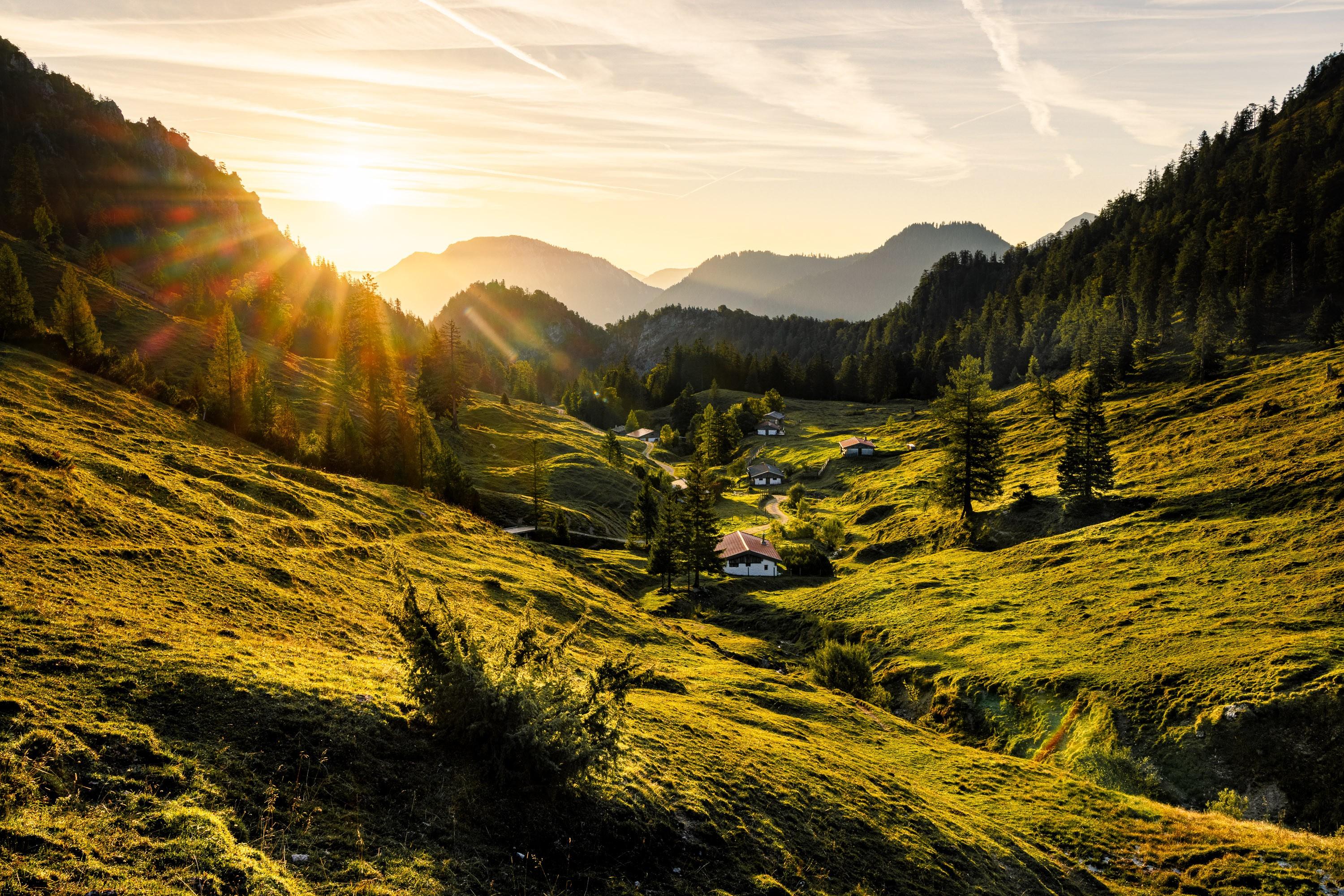 Eine Alm mit blühender Wiese bei Ruhpolding