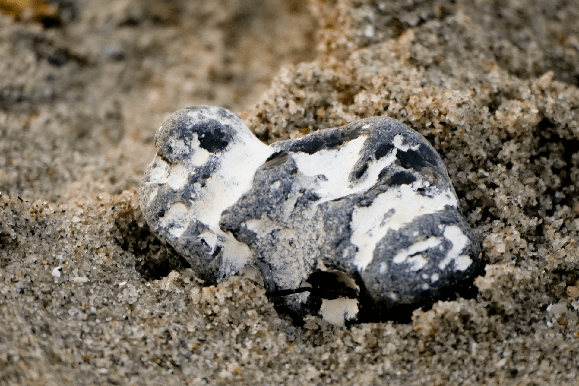 Hühnergott am Ostseestrand