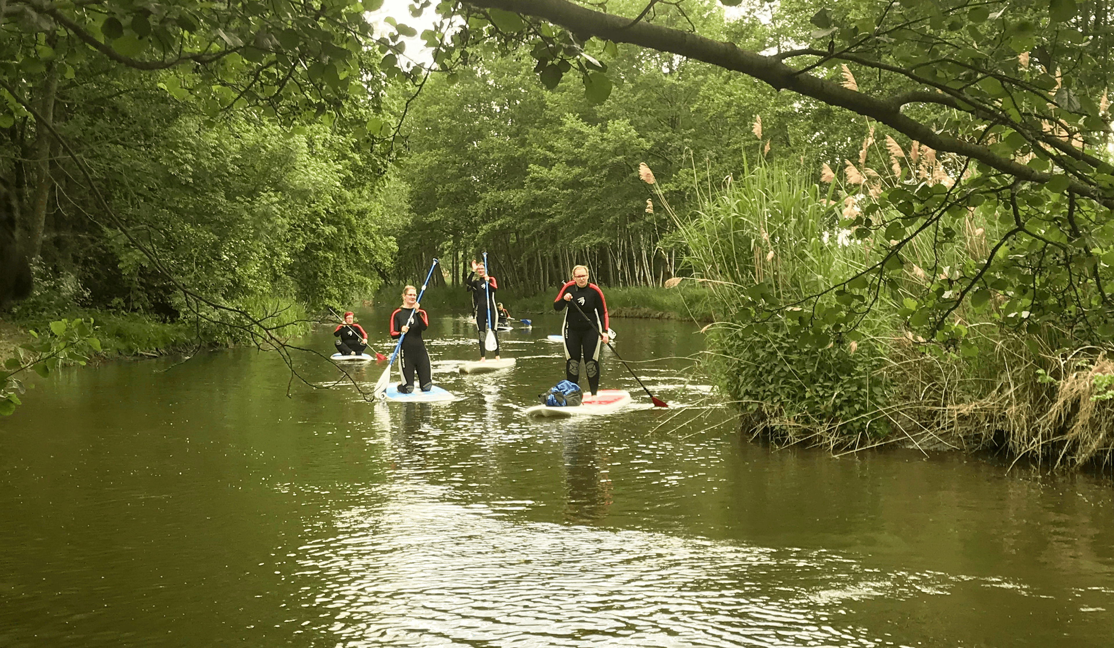 Eine Gruppe bei einer SUP-Tour im Dümmer Weserland