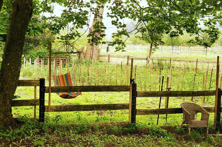 Ein Garten mit Hängematte im Zentrum für Lebensfreude „Aloha am See“, wo das Breathwork-Retreat stattfindet