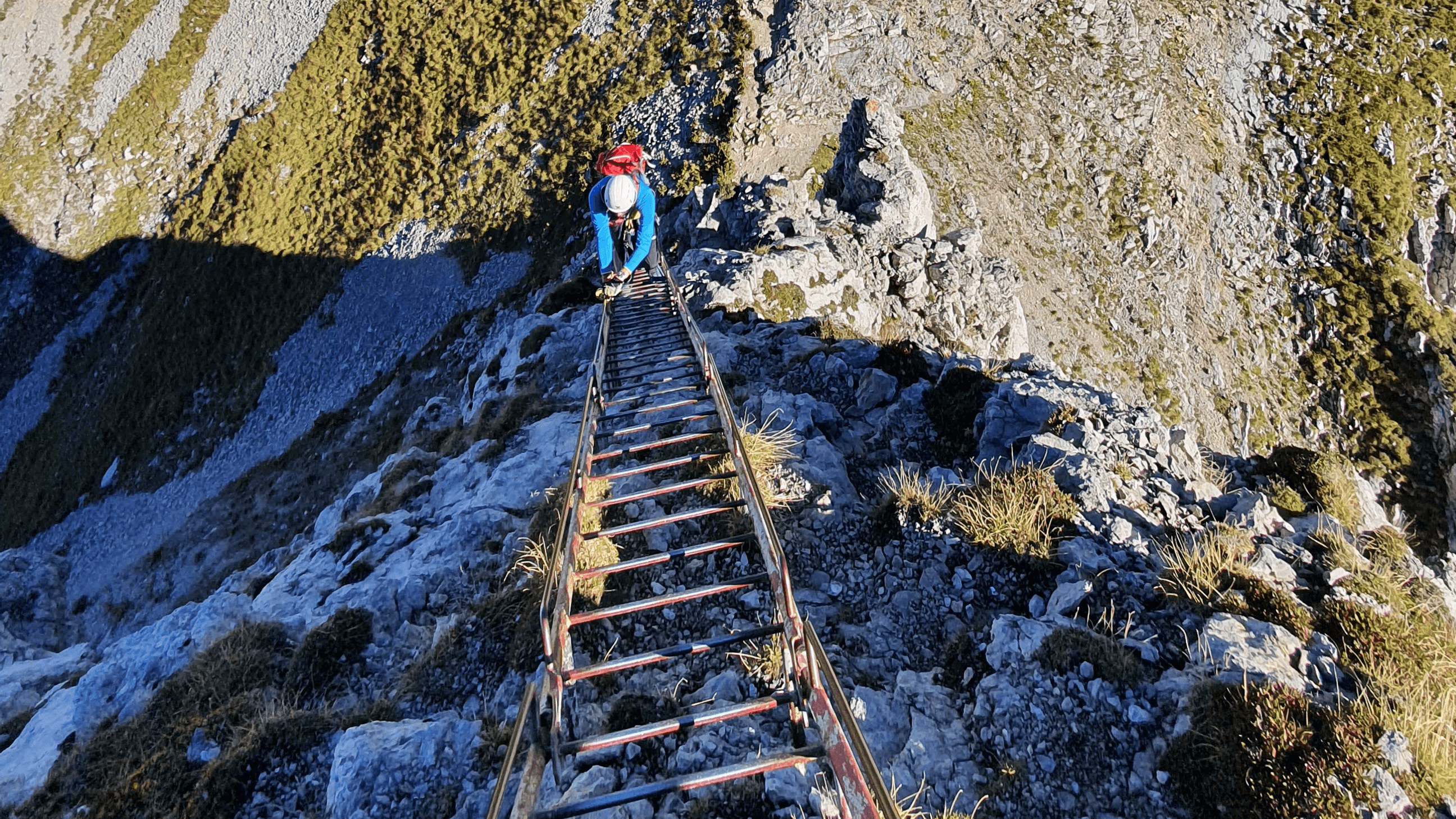 Eine Person klettert eine Leiter auf dem Klettersteig Mittenwald hoch
