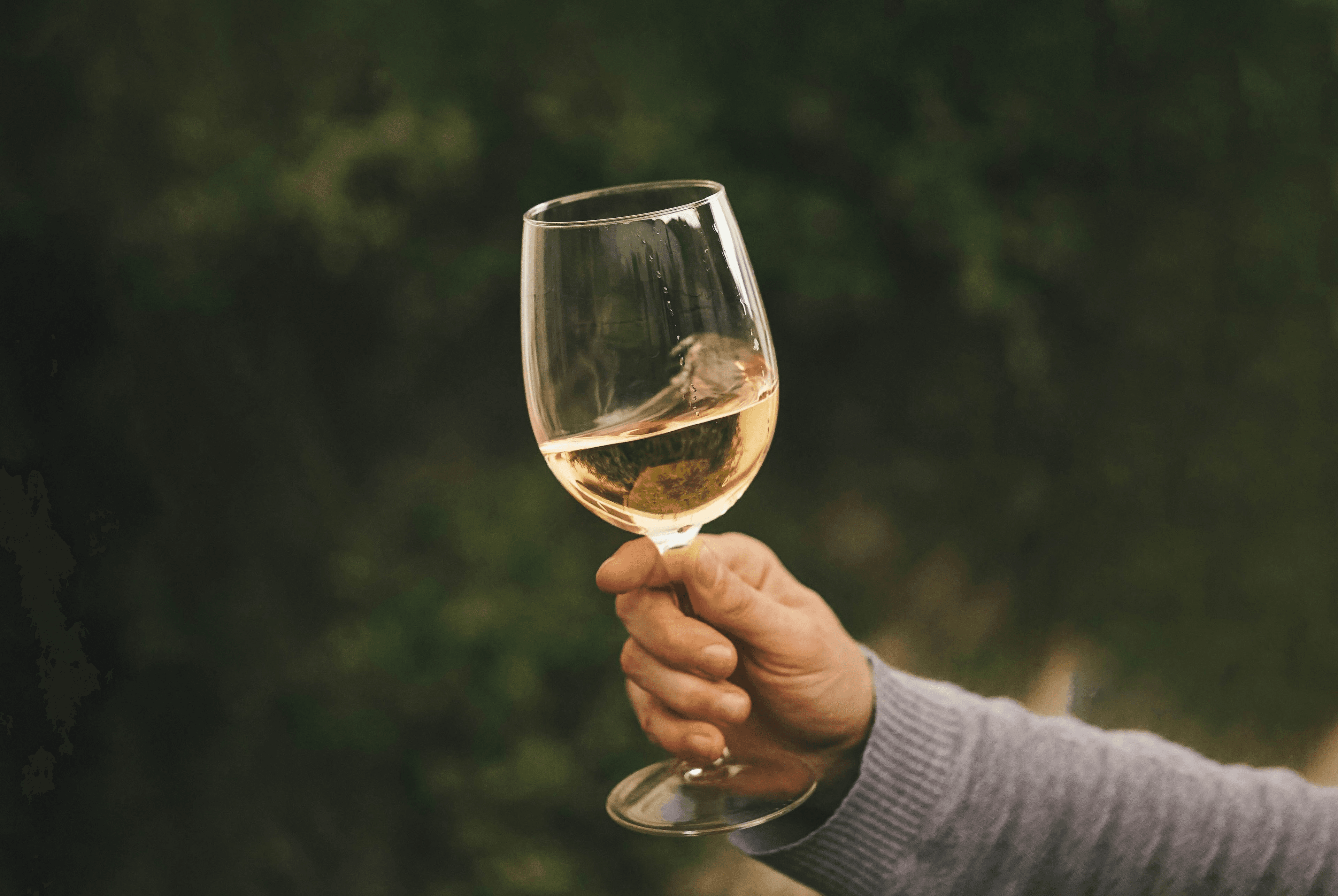 Hand mit Weißwein im Glas