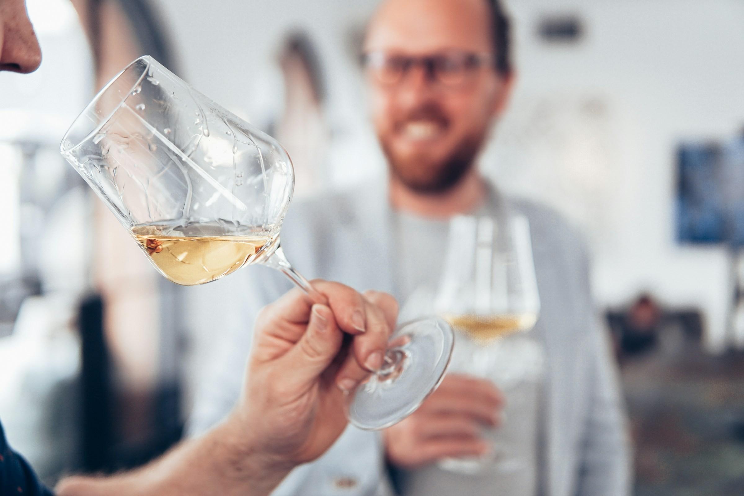 Teilnehmende bei einem Wein-Tasting mit Gläsern in den Händen