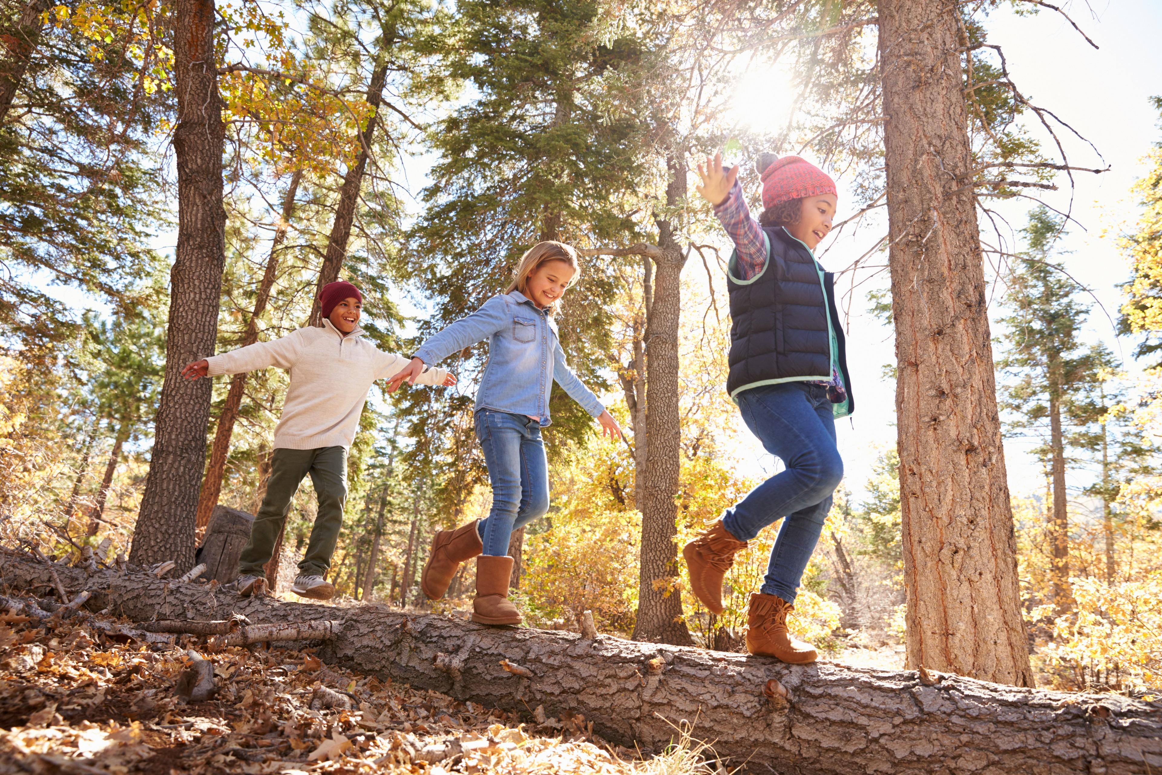 Kinder balancieren bei einer Tour durch den Wald auf einem Baumstamm