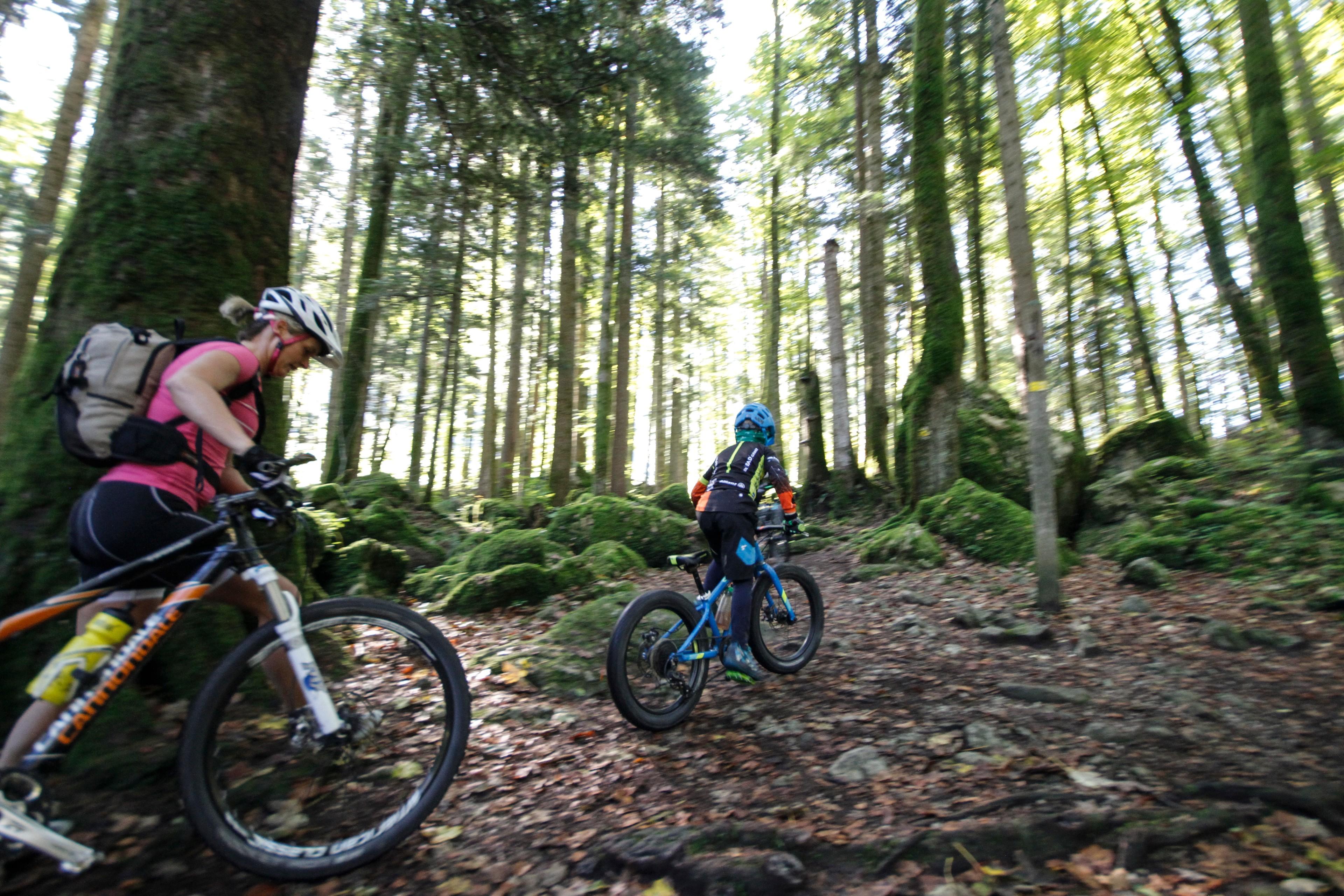 Mountainbike-Tour im Chiemgau durch den Wald.