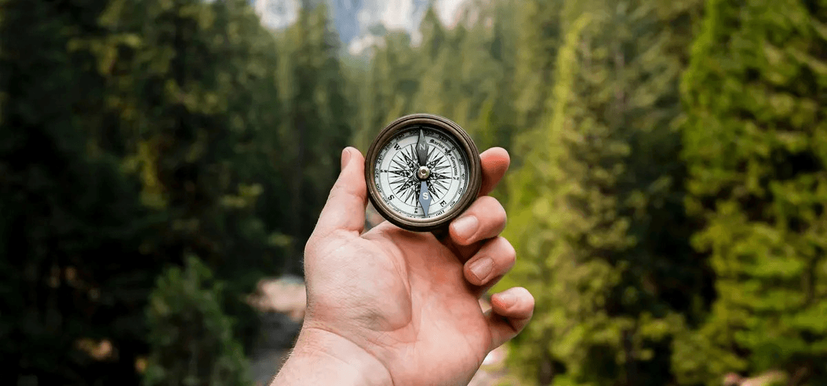 Eine Hand hält einen Kompass mit Wald im Hintergrund