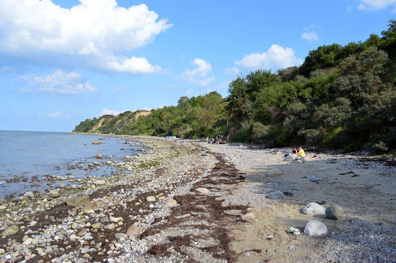 Strand mit Steinen in Boltenhagen an der Ostsee