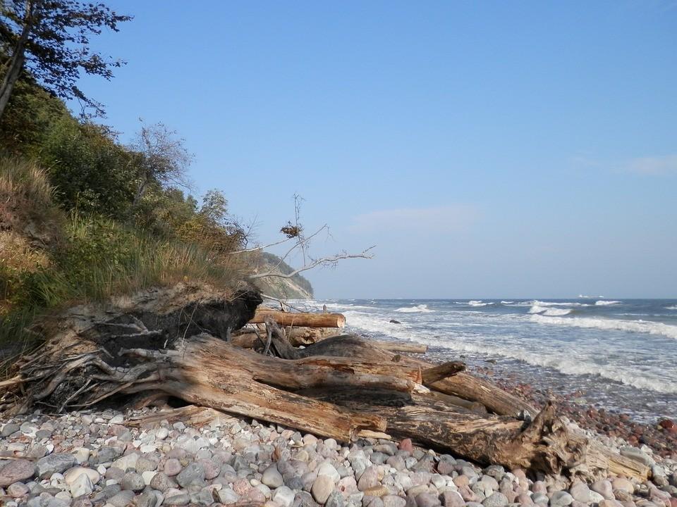 Ostseestrand mit Steinen und Totholz