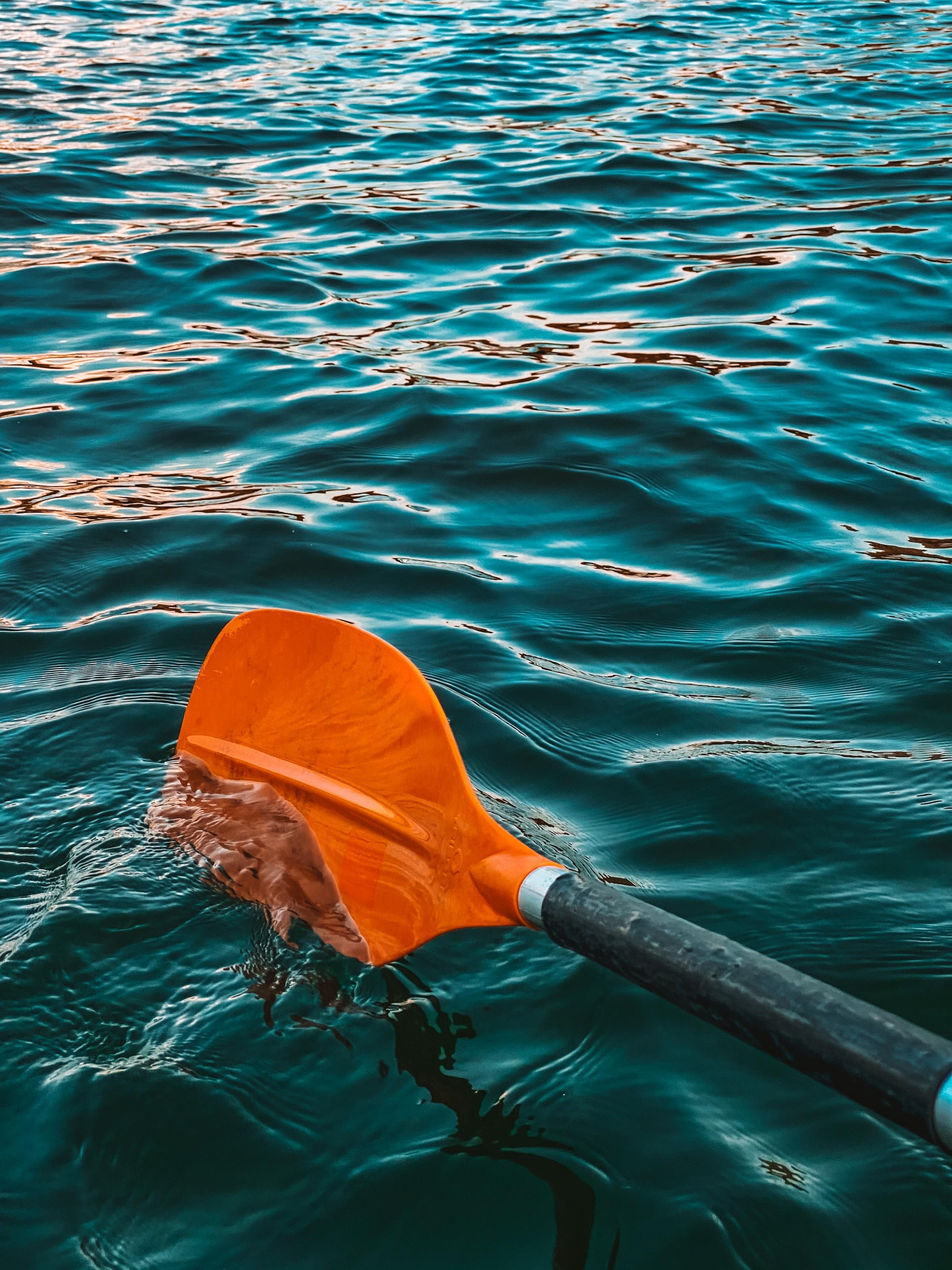 Ein orangefarbenes Paddel ist ein Stück ins Wasser eingetaucht