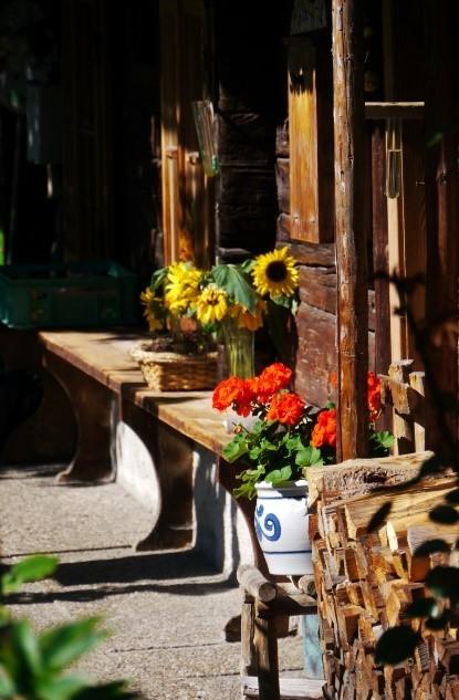 Sonnenblumen vor Bauernhaus