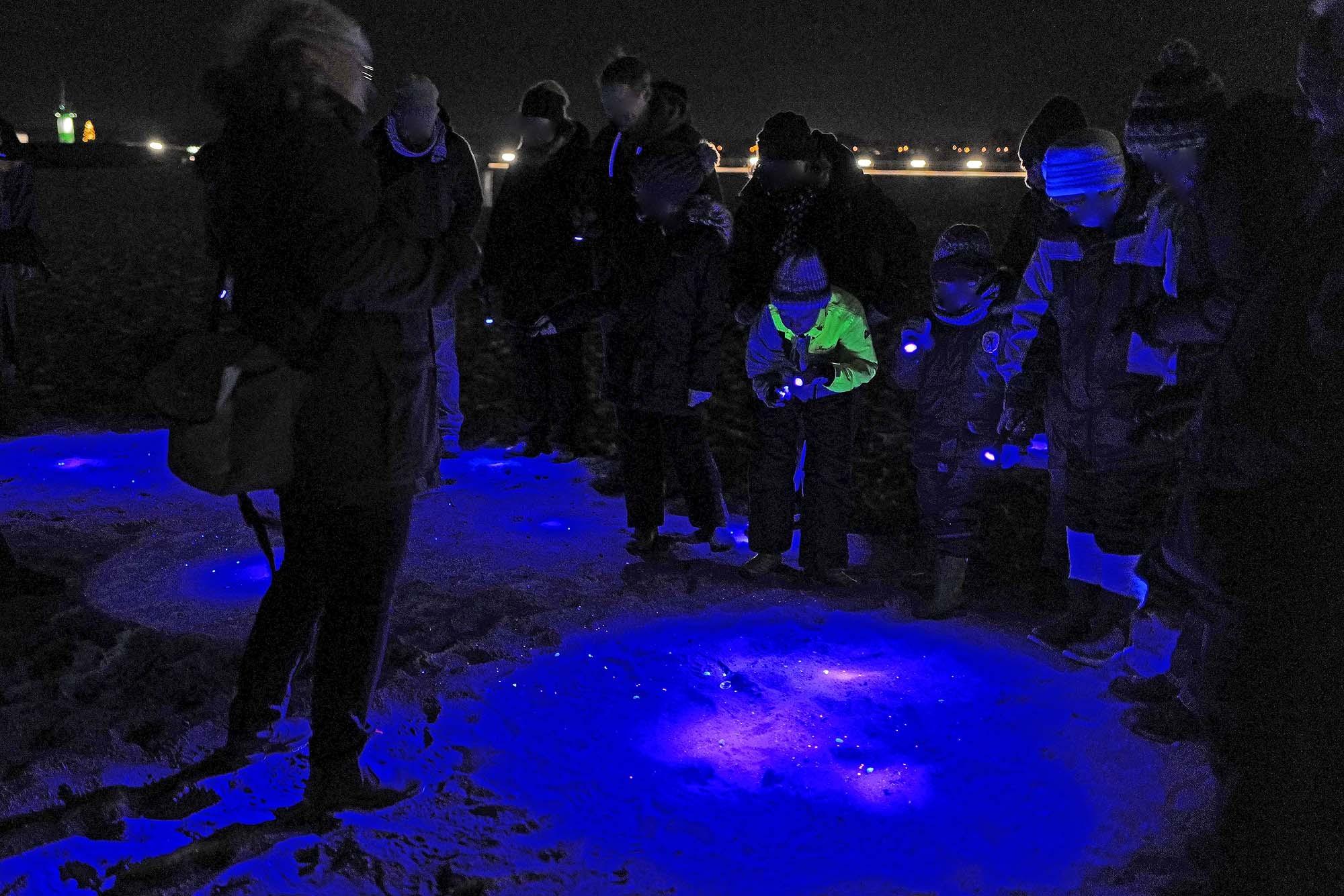 Menschen leuchten mit Schwarzlicht-Lampen am Strand auf der Suche nach Bernstein bei einer Exkursion