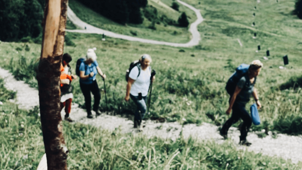 Eine Gruppe wandert bei einer Wildkräuterwanderung auf einem schmalen Pfad in den Alpen