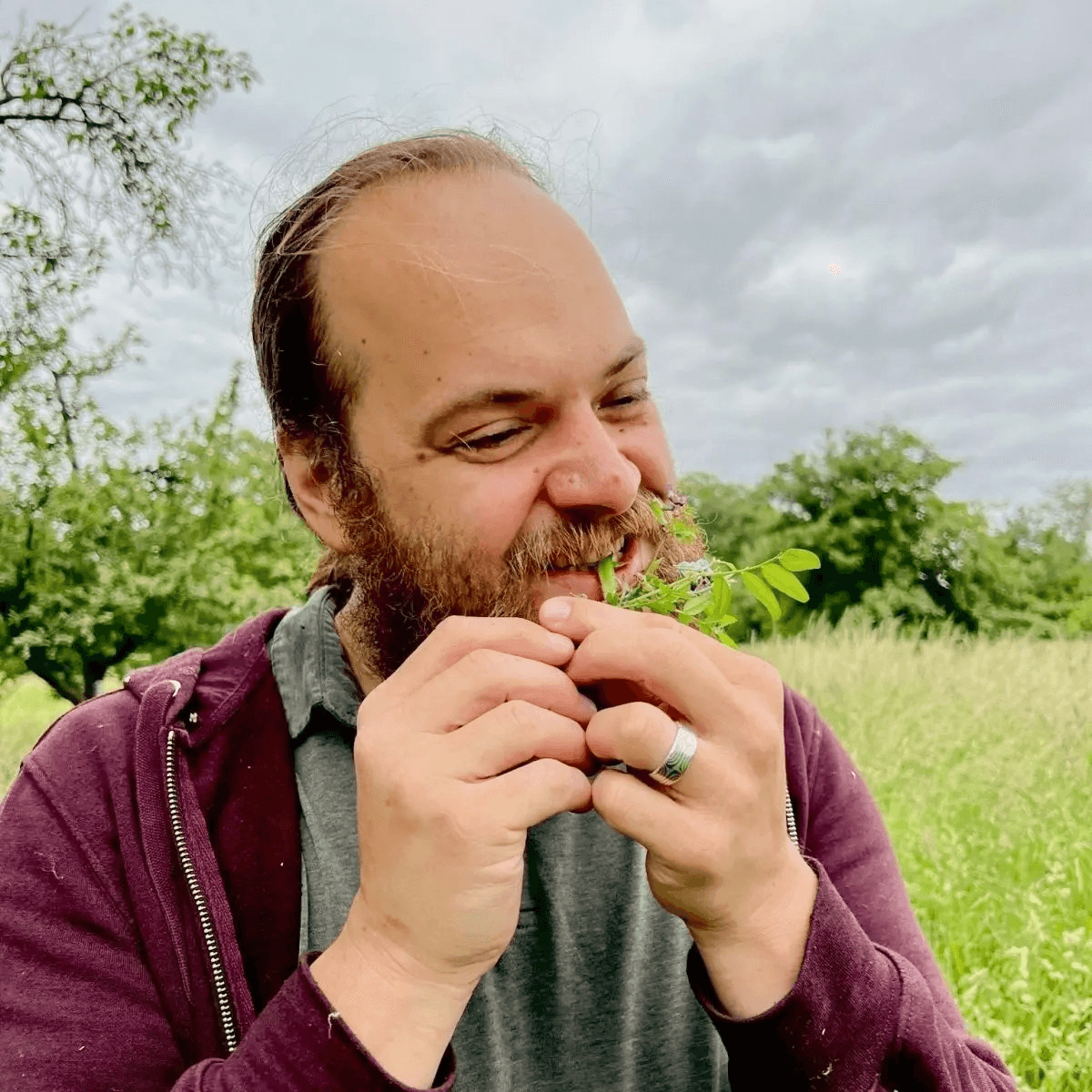 Ein Wildkräuter-Experte beißt bei einer Wildkräuterführung in eine essbare Wildpflanze