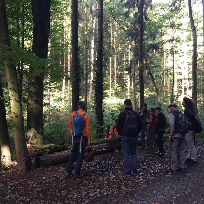 Eine Gruppe bei einer Pilzwanderung im Wald