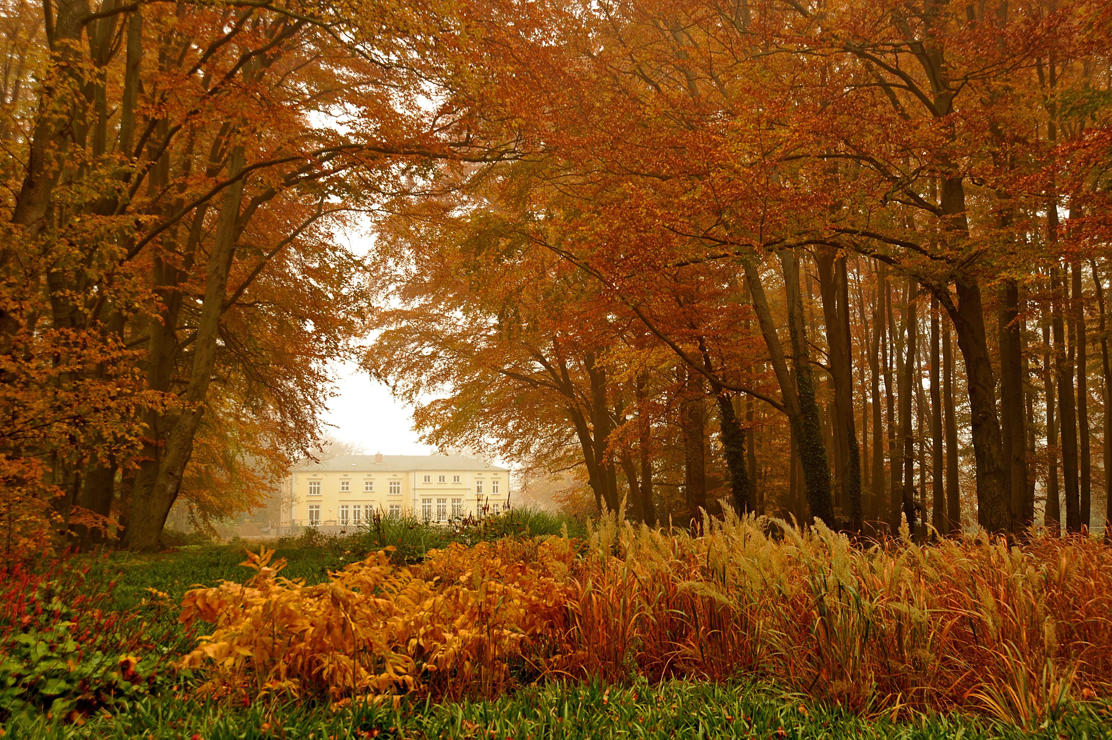 Herbstliche Bäume im Garten des Gutshauses Landsdorf